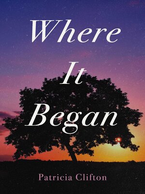 cover image of Where It Began
